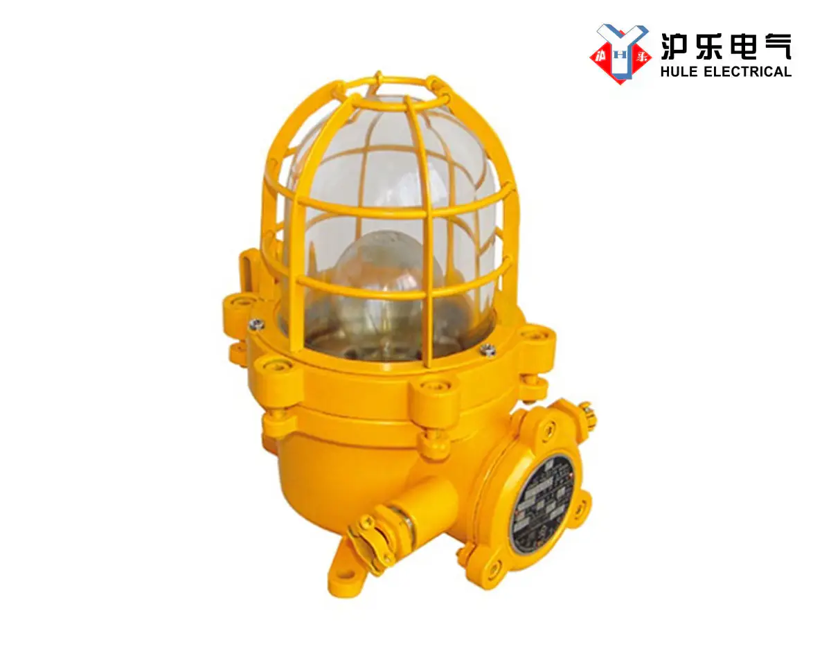 [Marine Ex-proof LED Pendant Light] dF-LED Series