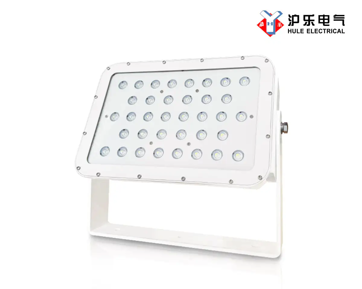[W.T Flood Light] HTG81-L400